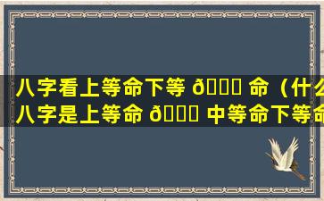 八字看上等命下等 🐟 命（什么八字是上等命 🐟 中等命下等命）